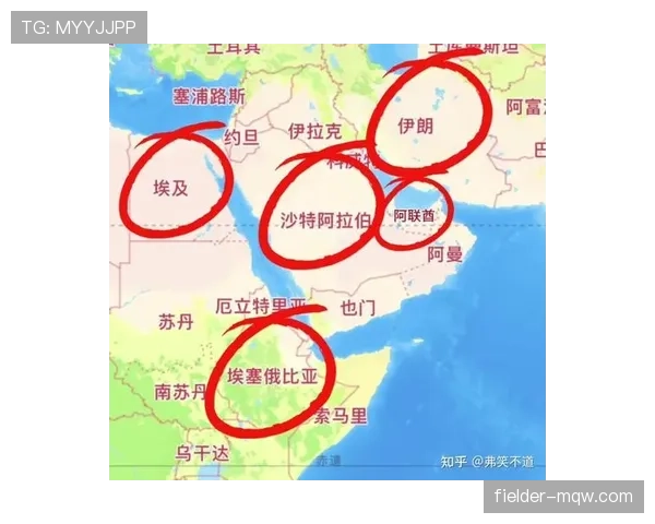 埃及与伊朗谁更有优势？